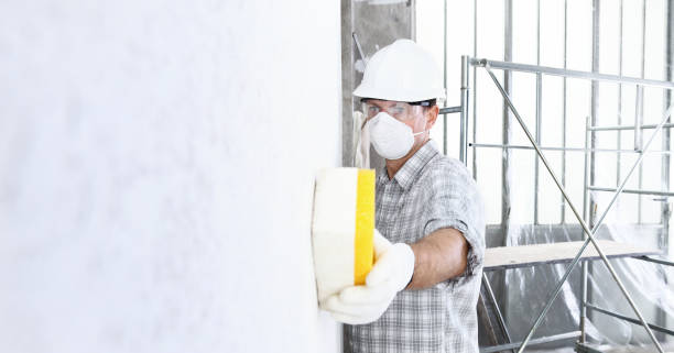 Best Mold Damage Restoration in Wrightwood, CA