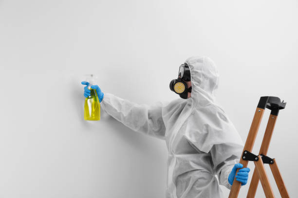 Best Asbestos and Lead Testing During Mold Inspection in Wrightwood, CA